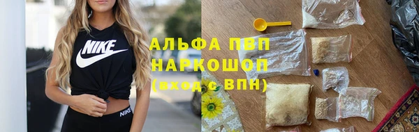 трава Белокуриха