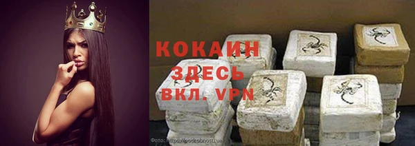 трава Белокуриха