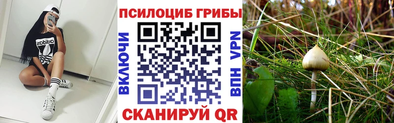 Галлюциногенные грибы GOLDEN TEACHER  Верхотурье 