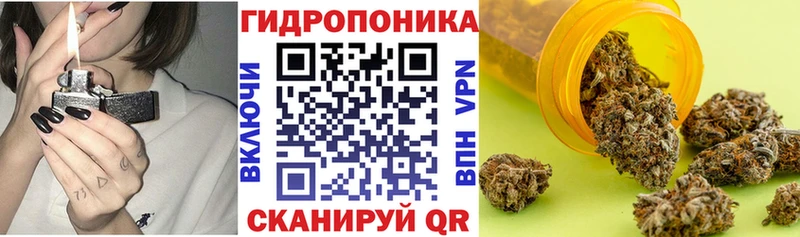 Шишки марихуана гибрид  закладка  Верхотурье 